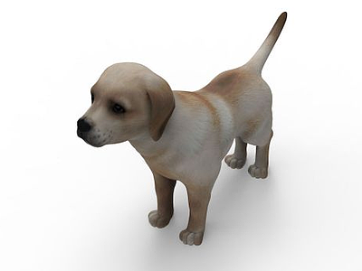 小狗模型3d模型
