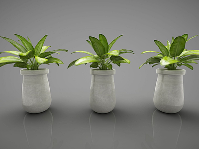 3d现代装饰植物模型