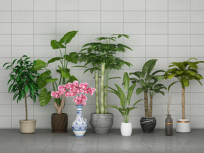 3d中式绿植盆栽模型