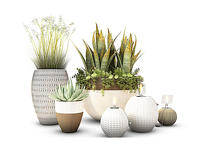 3d现代盆栽装饰花瓶模型