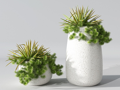 现代盆栽植物模型3d模型