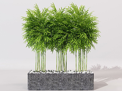 现代绿植竹子模型