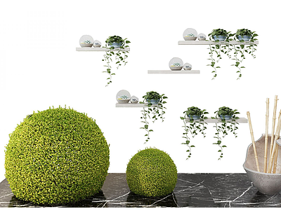 3d现代装饰植物吊兰模型
