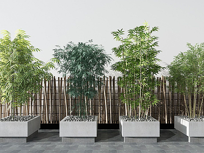 3d现代绿植竹子模型