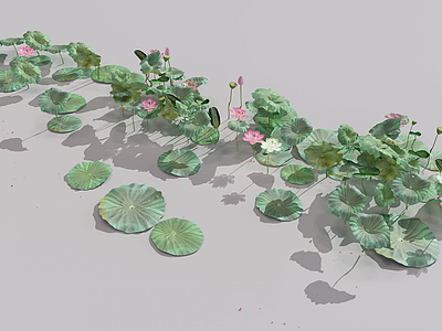 3d现代装饰植物荷花模型