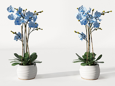 3d现代装饰植物<font class='myIsRed'>花瓶</font>模型