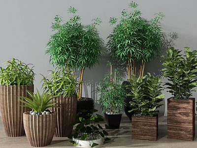 3d现代富贵竹盆栽模型