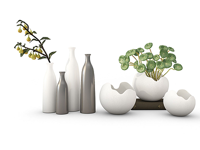 现代装饰植物花瓶模型3d模型