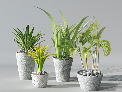 现代盆栽仙人掌花瓶模型3d模型