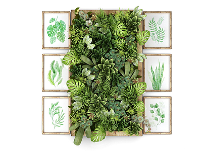 现代装饰植物墙模型3d模型