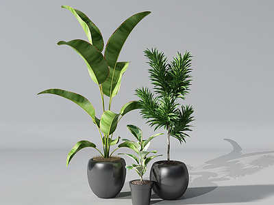 3d现代盆栽模型