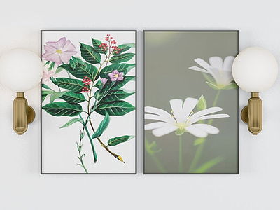 3d现代装饰植物挂画模型