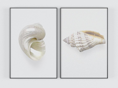 3d海螺装饰画模型