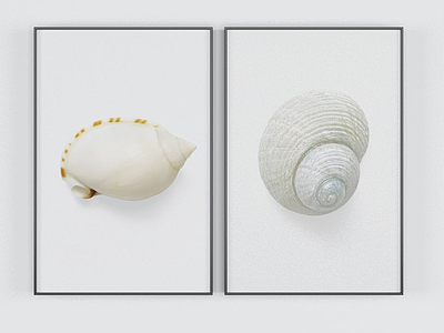 海螺装饰画模型3d模型