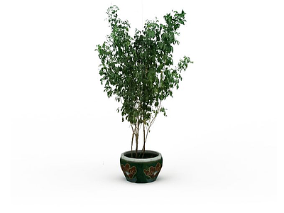 3d观叶植物免费模型