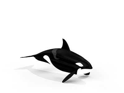 3d虎鲸免费模型