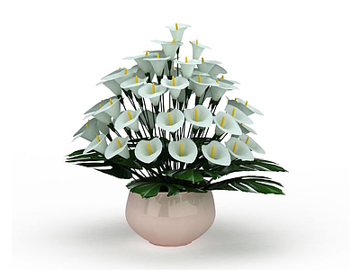 马蹄莲盆栽模型3d模型
