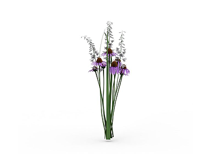 花卉植物模型3d模型