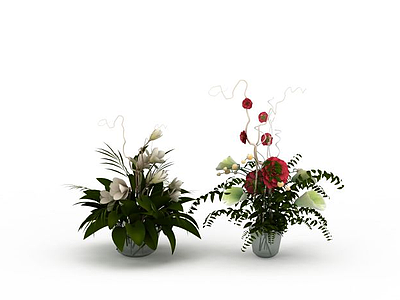 3d盆栽植物免费模型