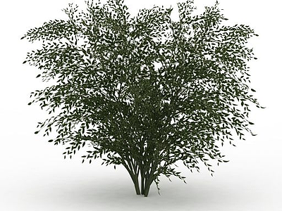公园果树模型3d模型