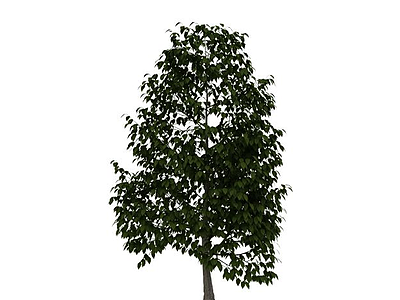 3d街道树木免费模型