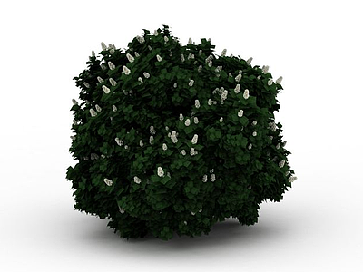 白花灌木模型