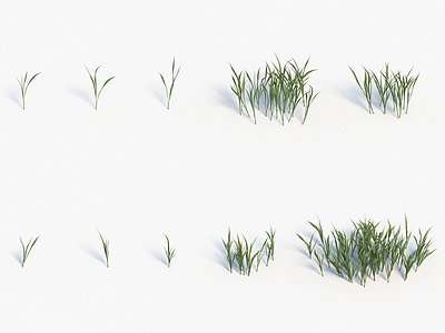 3d植物小草模型