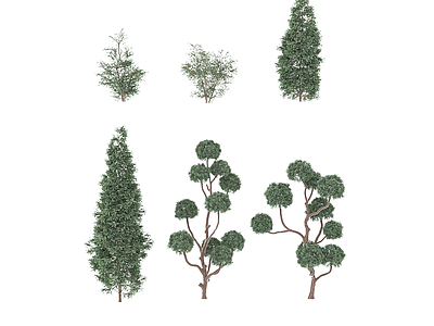 3d现代灌木树木模型