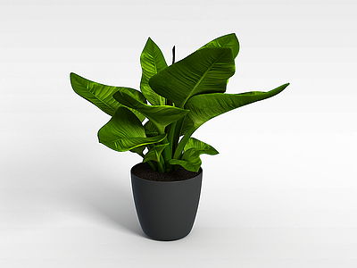 3d室内植物模型