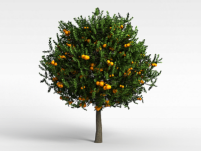 黄色果实植物模型3d模型