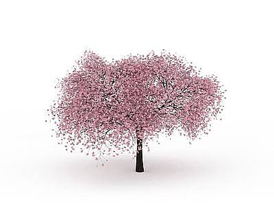 3d樱花树模型