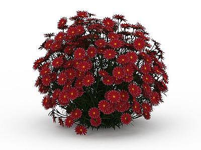 红色花朵模型3d模型