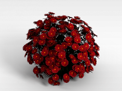 3d德国红色雏菊模型