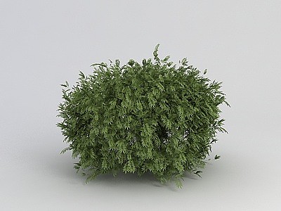 灌木植物模型3d模型