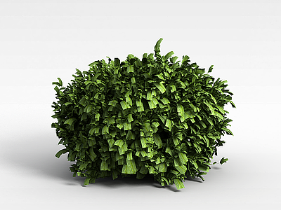 3d绿色观叶植物模型