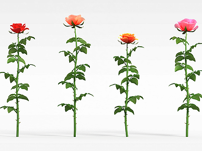 室外植物玫瑰模型3d模型