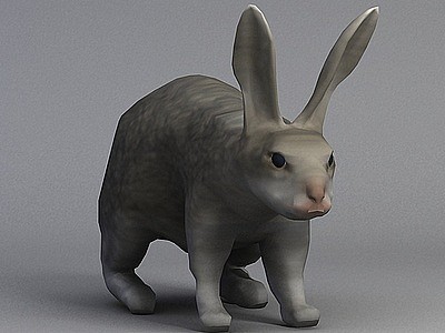 3d灰色兔子免费模型