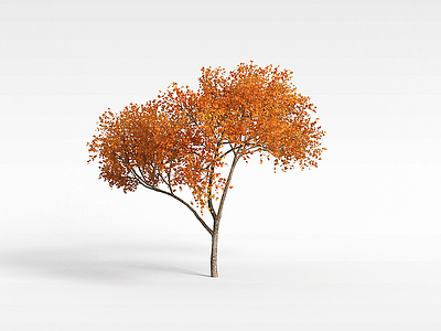 3d秋季黄叶树模型