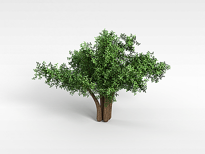 平原矮树模型3d模型