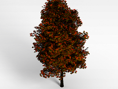 3d秋叶大树模型