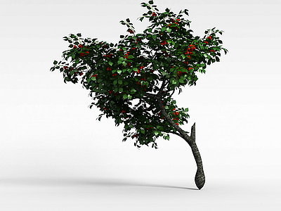 3d结红色果实的树木模型