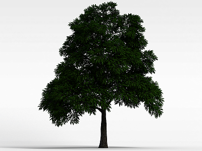 3d<font class='myIsRed'>绿化树</font>木模型