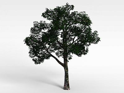 绿化植物模型3d模型