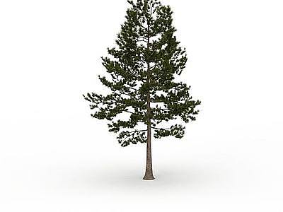 松树模型3d模型