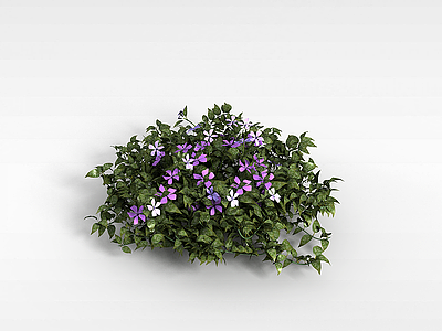 3d紫花灌木植物模型