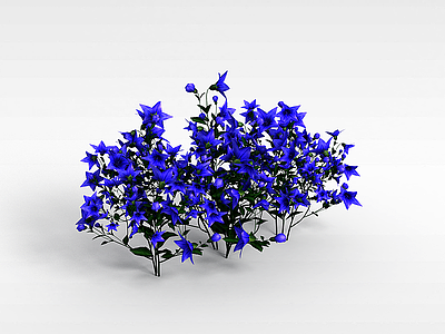 紫色五瓣花卉模型3d模型