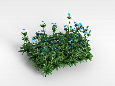 3d蓝色四瓣花朵模型