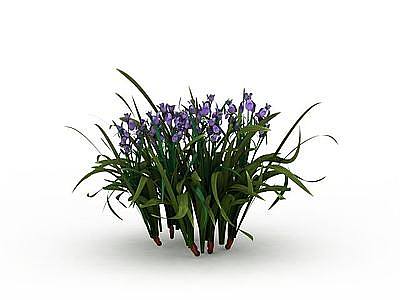 紫色花卉模型3d模型
