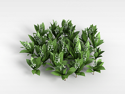 3d白色花朵植物模型