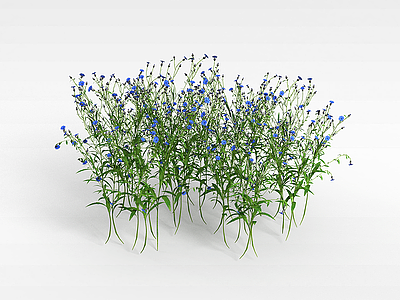 紫色花朵植物模型3d模型